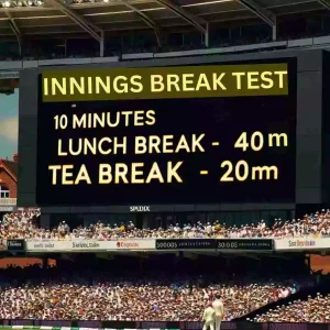 Innings break in Test Cricket